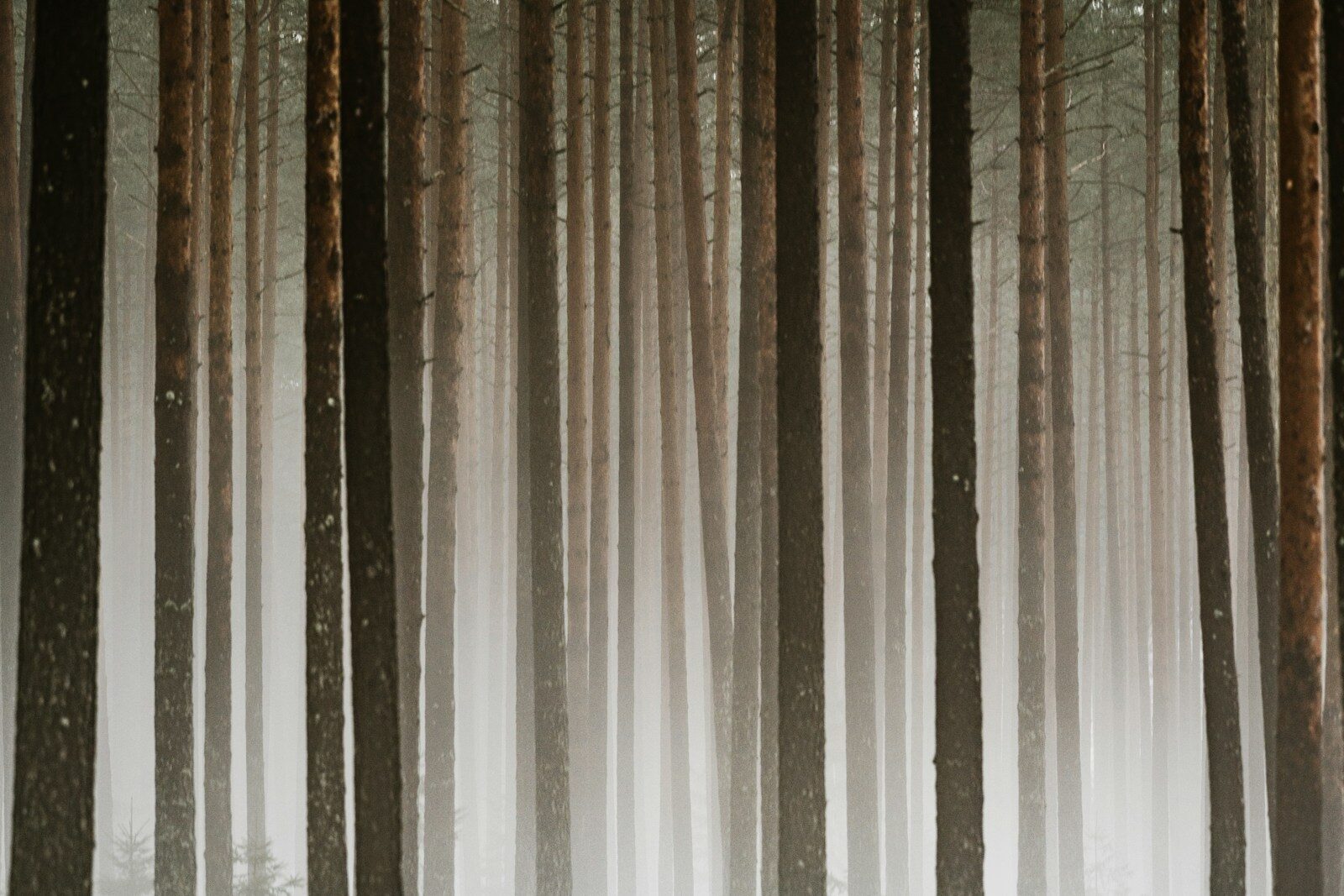 Special Packaging Materials