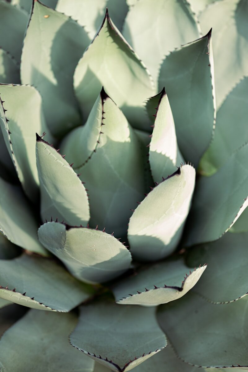 International Tax Compliance